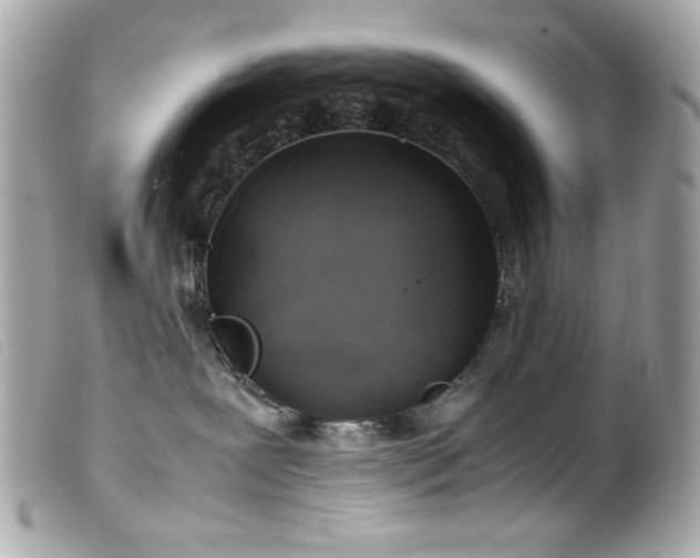 X0000100230239200805301419