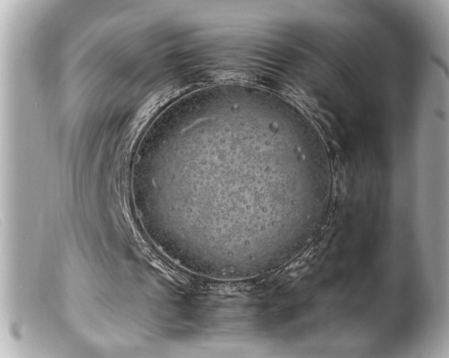 X0000100230241200805301418