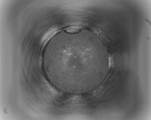 X0000100230243200805301418