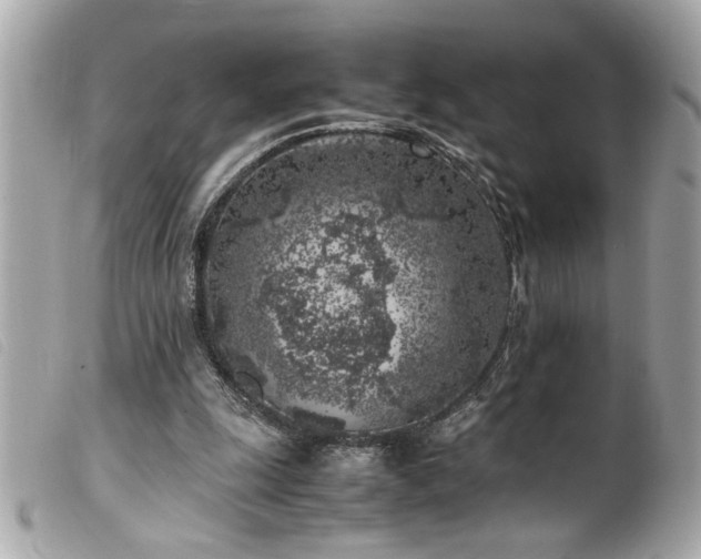 X0000100230247200805301418