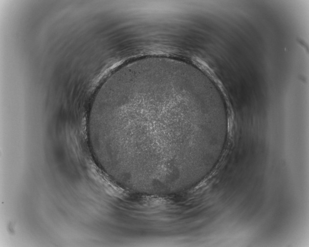 X0000100230249200805301418