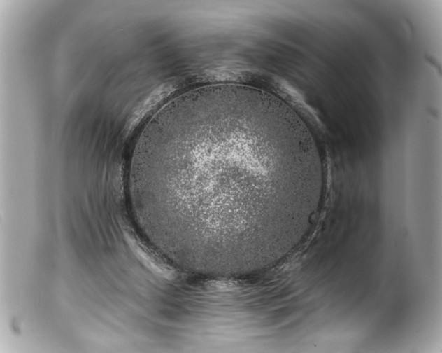 X0000100230250200805301418