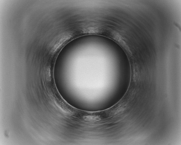 X0000100230251200805301418