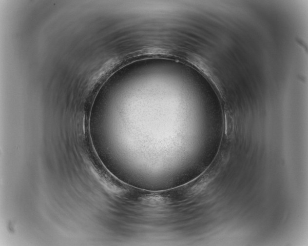 X0000100230253200805301418