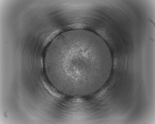 X0000100230254200805301418