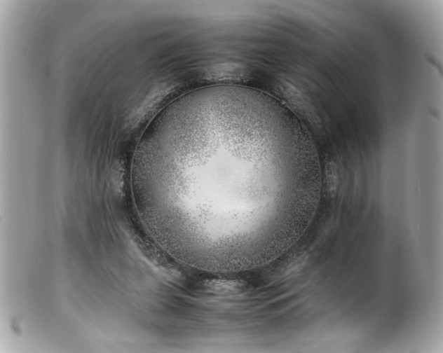 X0000100230255200805301418
