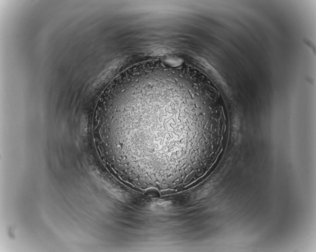 X0000100230257200805301418
