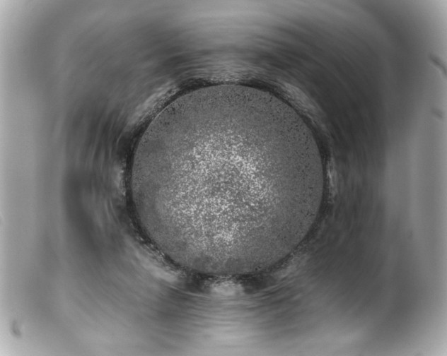 X0000100230258200805301418