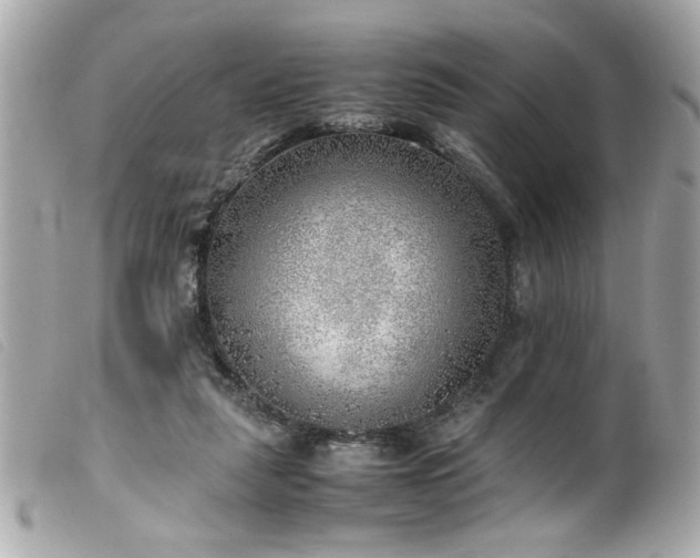 X0000100230259200805301418
