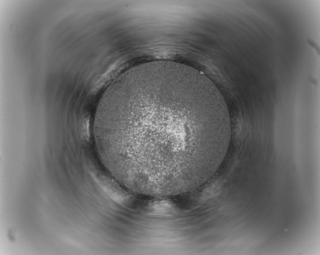 X0000100230262200805301418