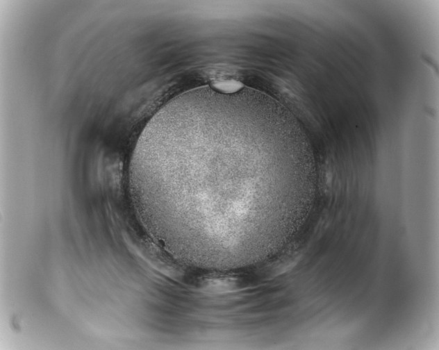 X0000100230263200805301418