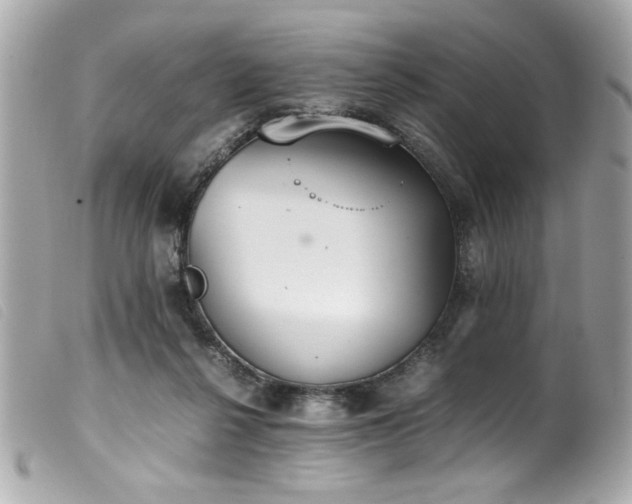X0000100230264200805301418