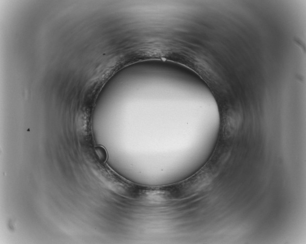 X0000100230268200805301419