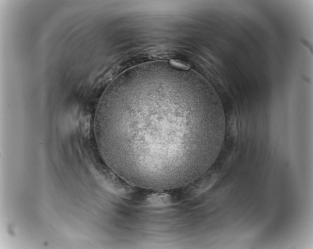 X0000100230271200805301419