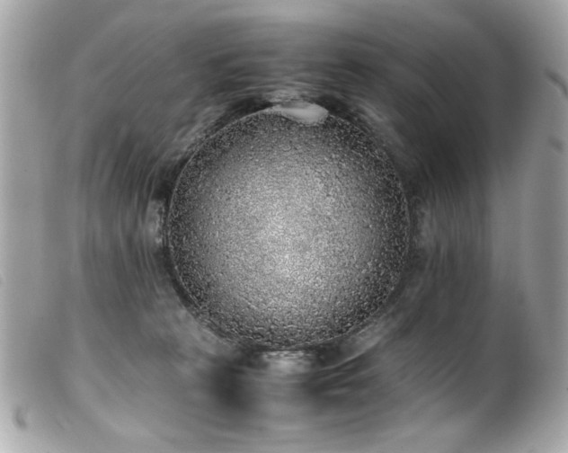 X0000100230273200805301419