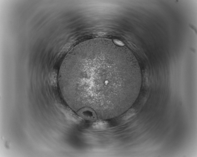 X0000100230274200805301419