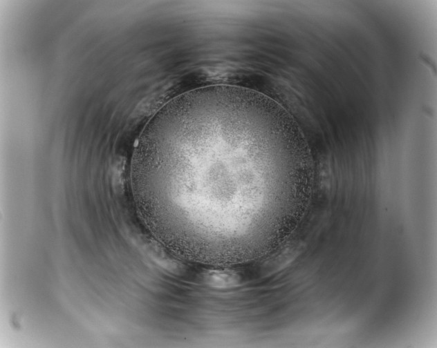 X0000100230275200805301419