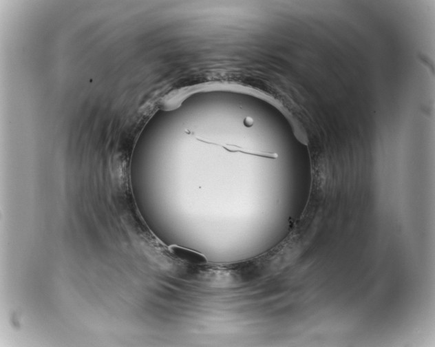 X0000100230276200805301419