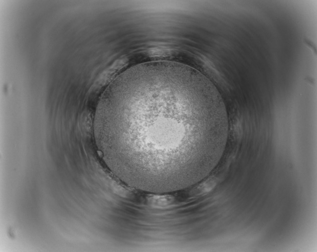 X0000100230277200805301419