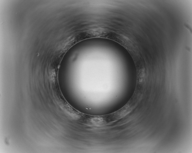 X0000100230279200805301419