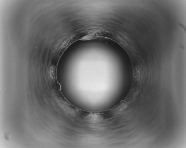 X0000100230280200805301419