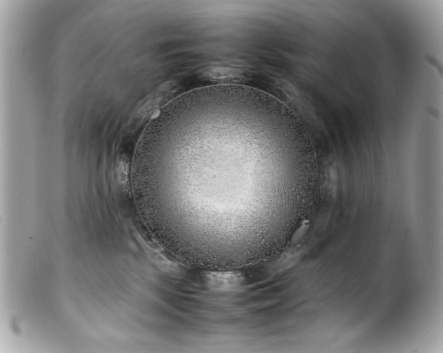 X0000100230281200805301419