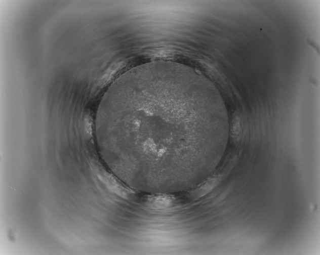 X0000100230282200805301419