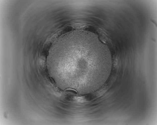 X0000100230283200805301419