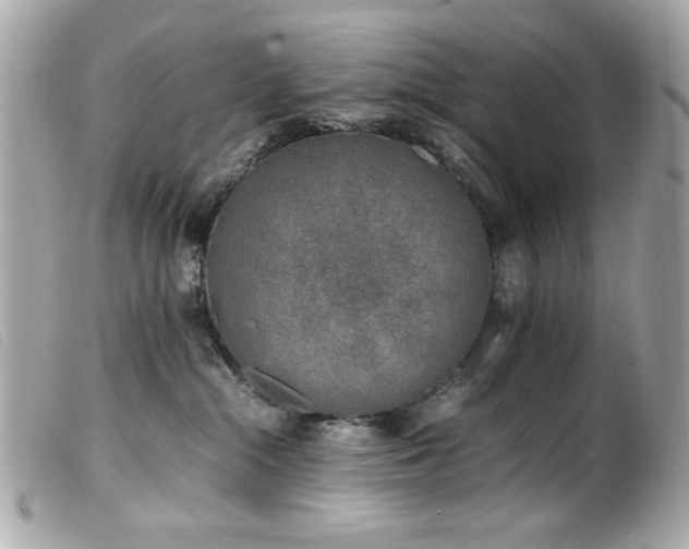 X0000100230284200805301419