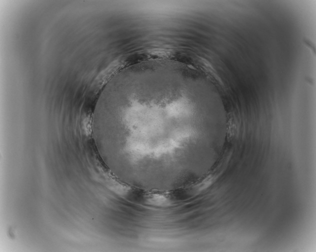 X0000100230285200805301419