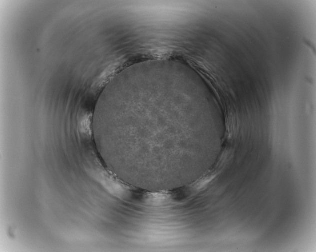 X0000100230286200805301419