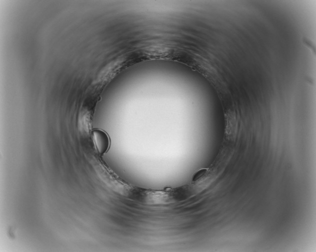 X0000100230287200805301419