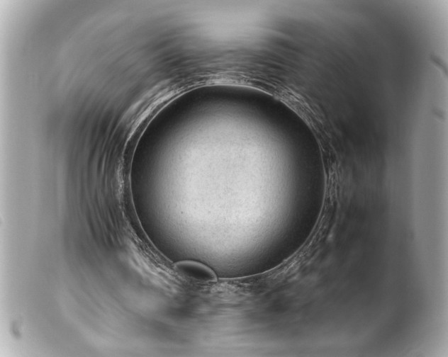 X0000100230290200805301418