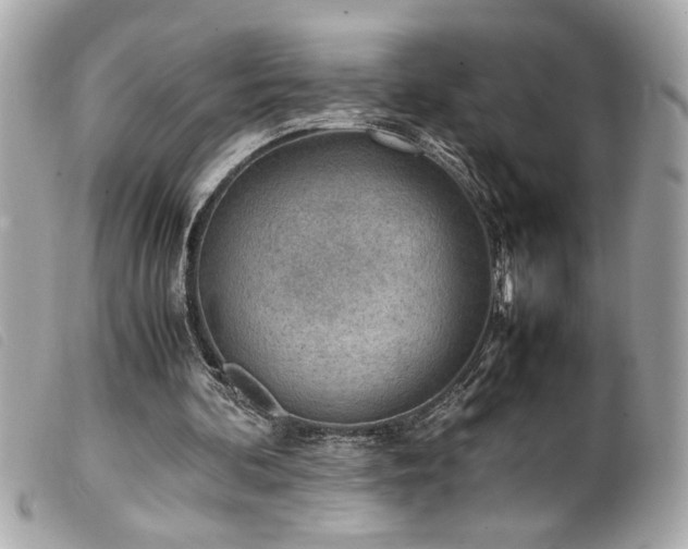 X0000100230292200805301418