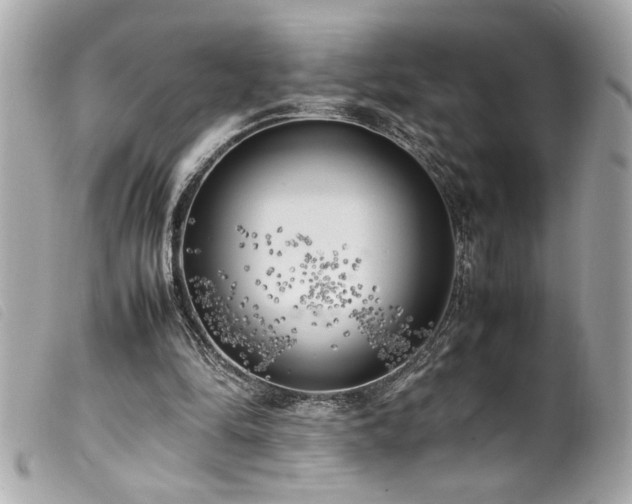 X0000100230294200805301418