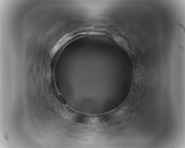 X0000100230295200805301418