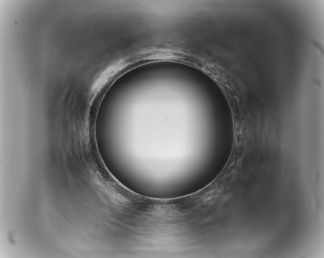 X0000100230296200805301418