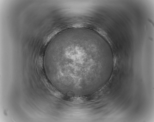 X0000100230297200805301418