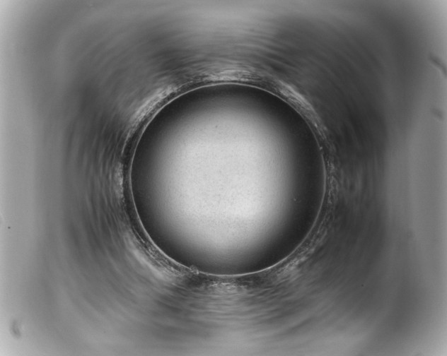 X0000100230298200805301418