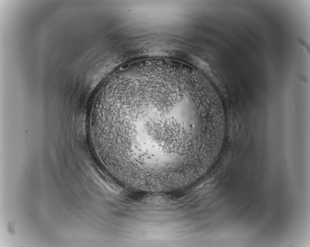 X0000100230299200805301418