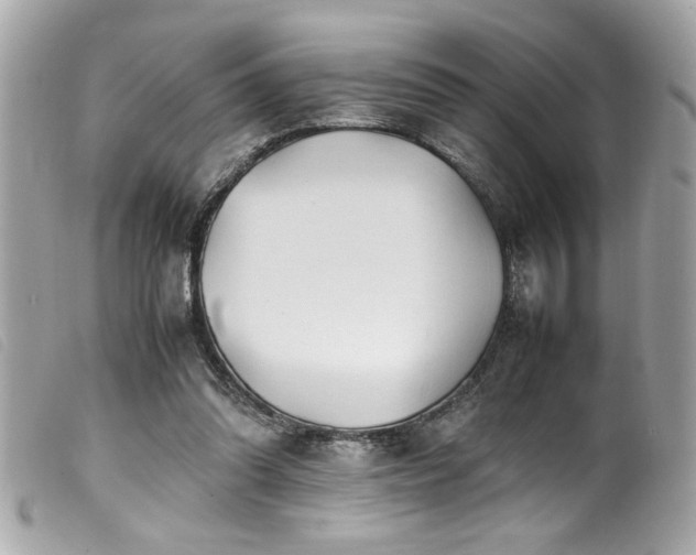 X0000100230302200805301418
