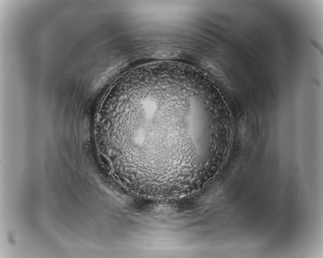 X0000100230303200805301418