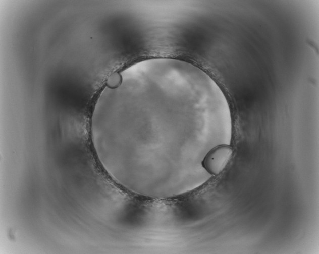 X0000100230305200805301418