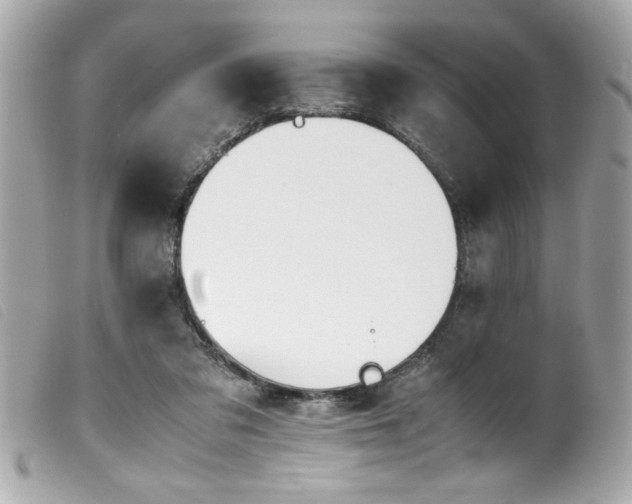 X0000100230309200805301418