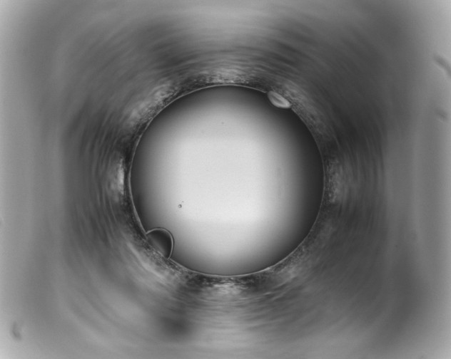 X0000100230310200805301418