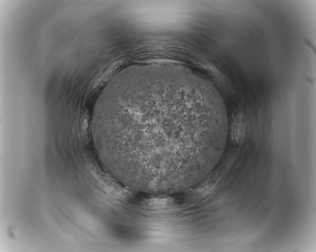 X0000100230314200805301418