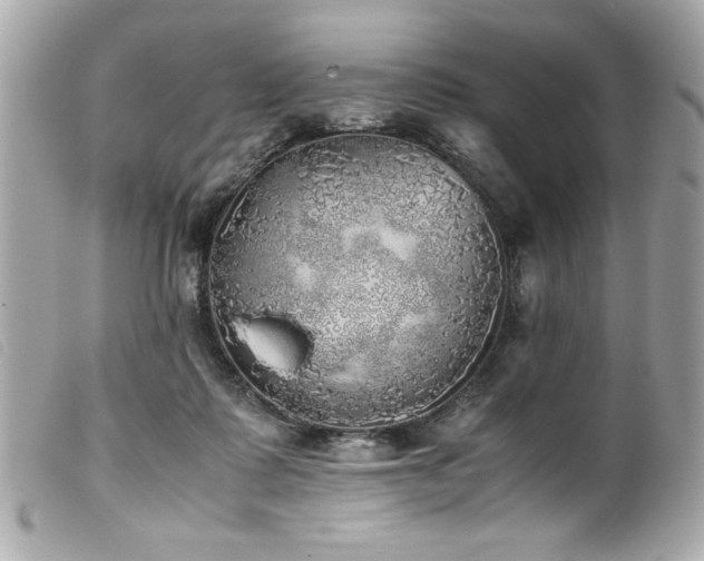 X0000100230315200805301418