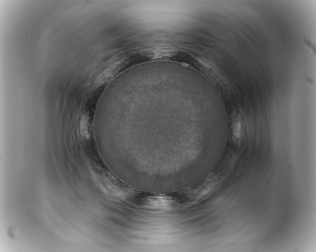 X0000100230316200805301418