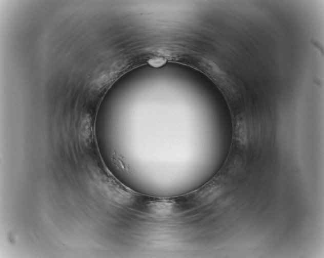 X0000100230318200805301418