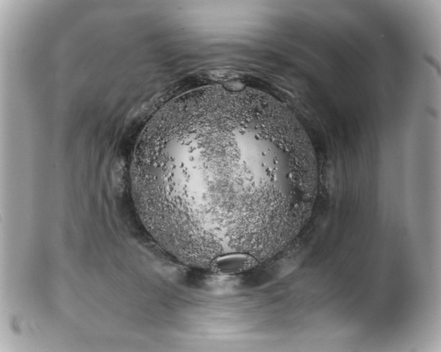 X0000100230319200805301418